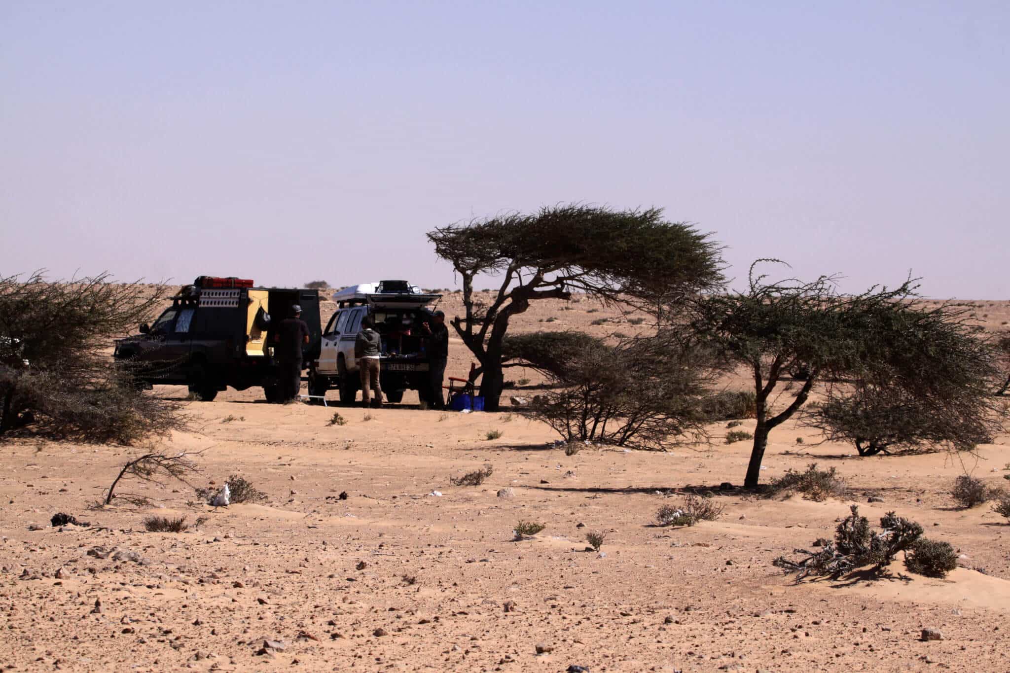 Biotope Maroc