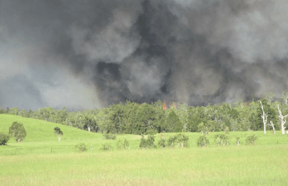 Zone incendiée de La Tontouta