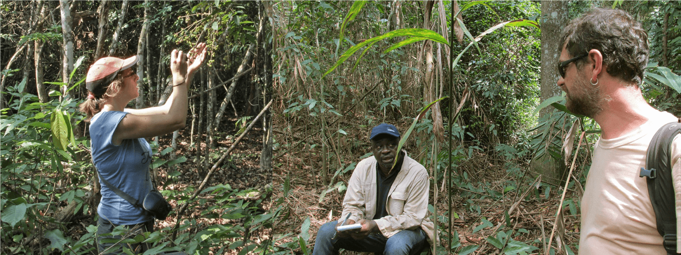 Plateaux d’Okouma et Bafoula