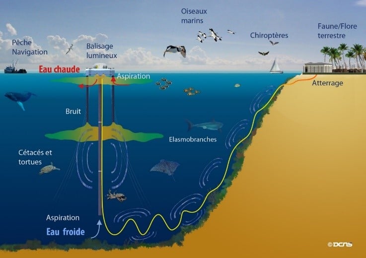 Etude d'impact projet d'énergie thermique