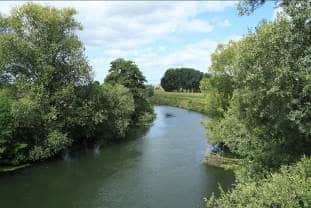 Paysage rouennais, Biotope.