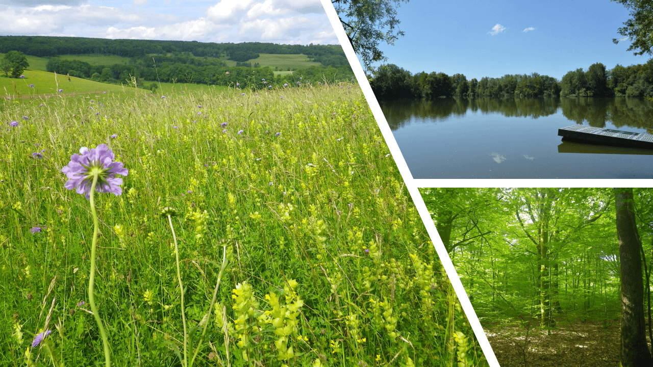 Biotope Bourgogne Franche Comté