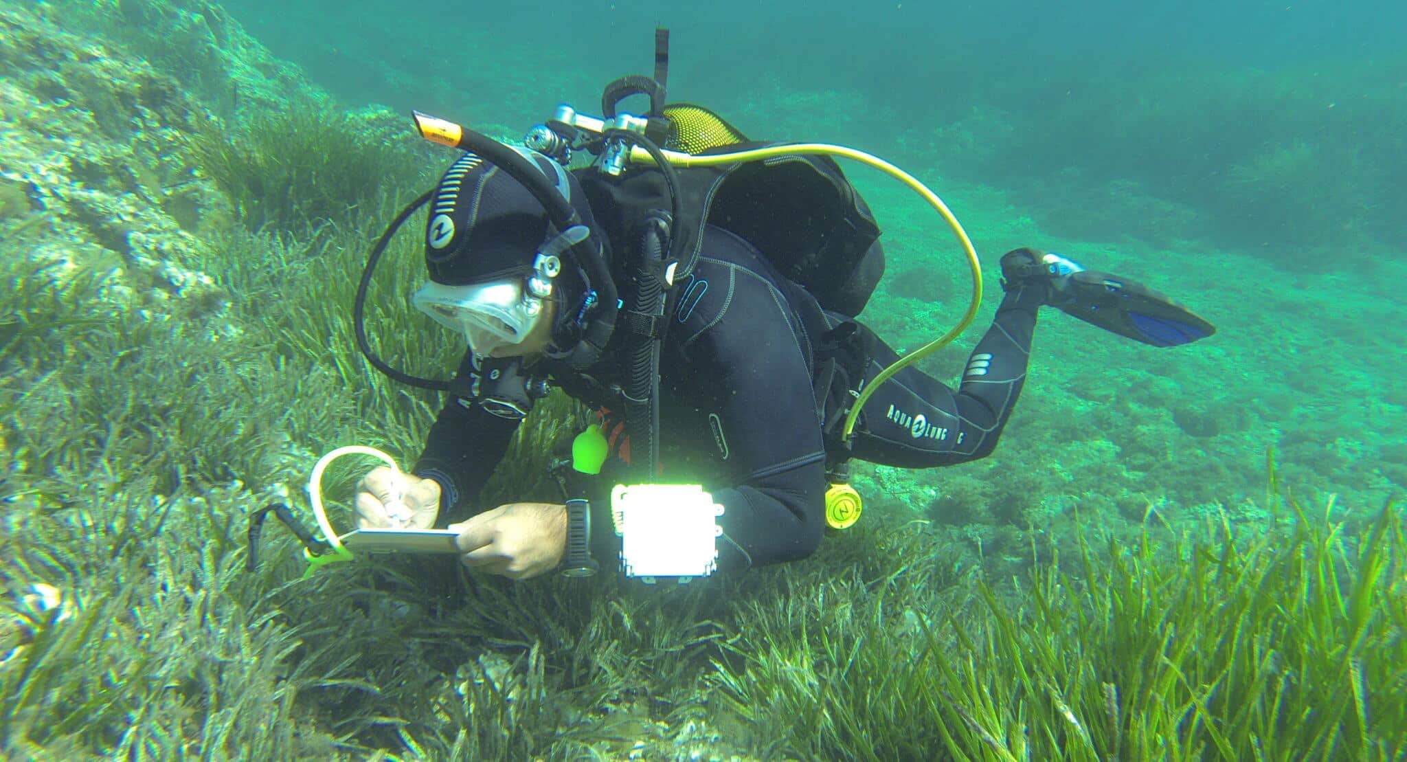 Agence Biotope en région PACA