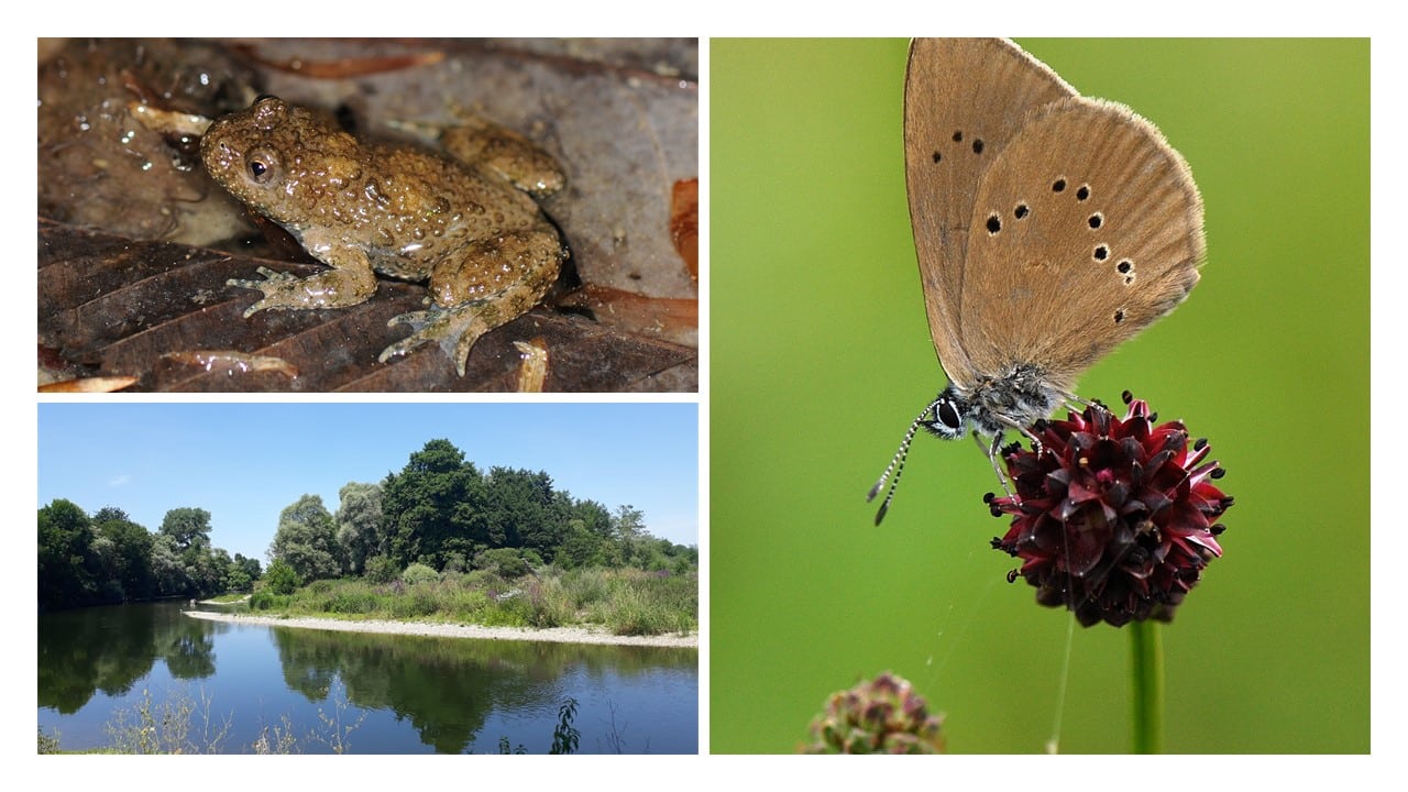 Agence Biotope Grand Est, Villiers les Nancy