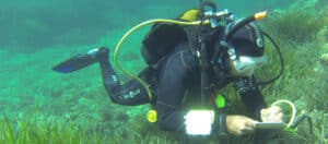 Plongeur en milieu marin, Biotope.