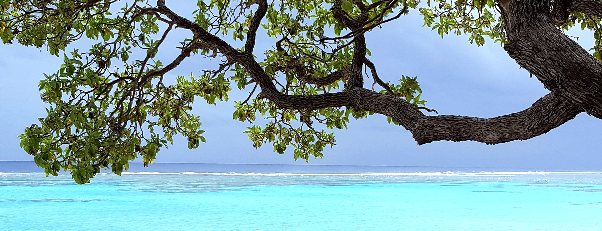 Biotope dans le monde