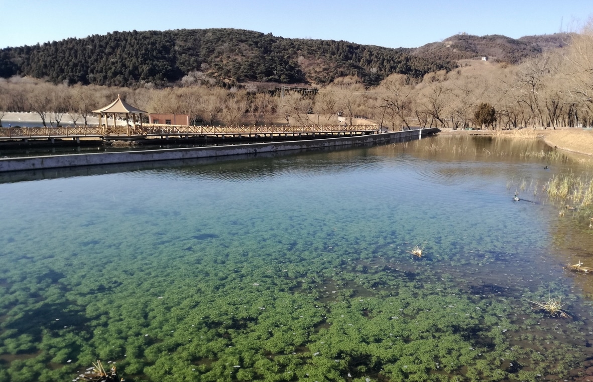 Mission pour Véolia, création de la zone humide tampon à Fangshan, Chine, par Xavier Rufray.