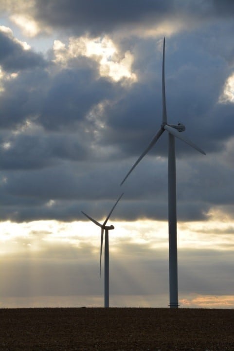 Champ d'éoliennes, Biotope.