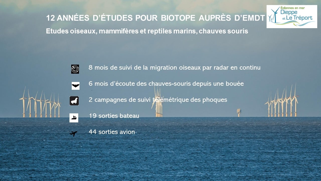 parc éolien en mer de Dieppe - Le Tréport