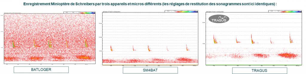 Comparatif matériel d'enregistrements des chauves-souris