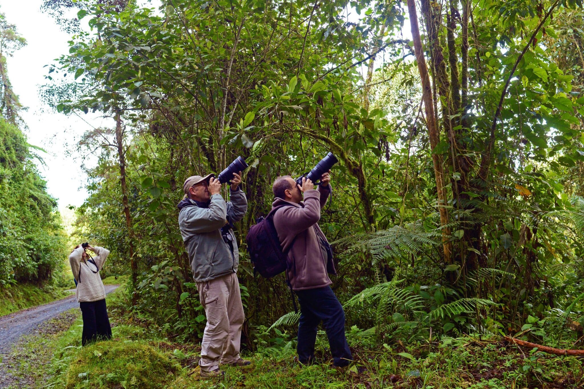 Observation naturaliste