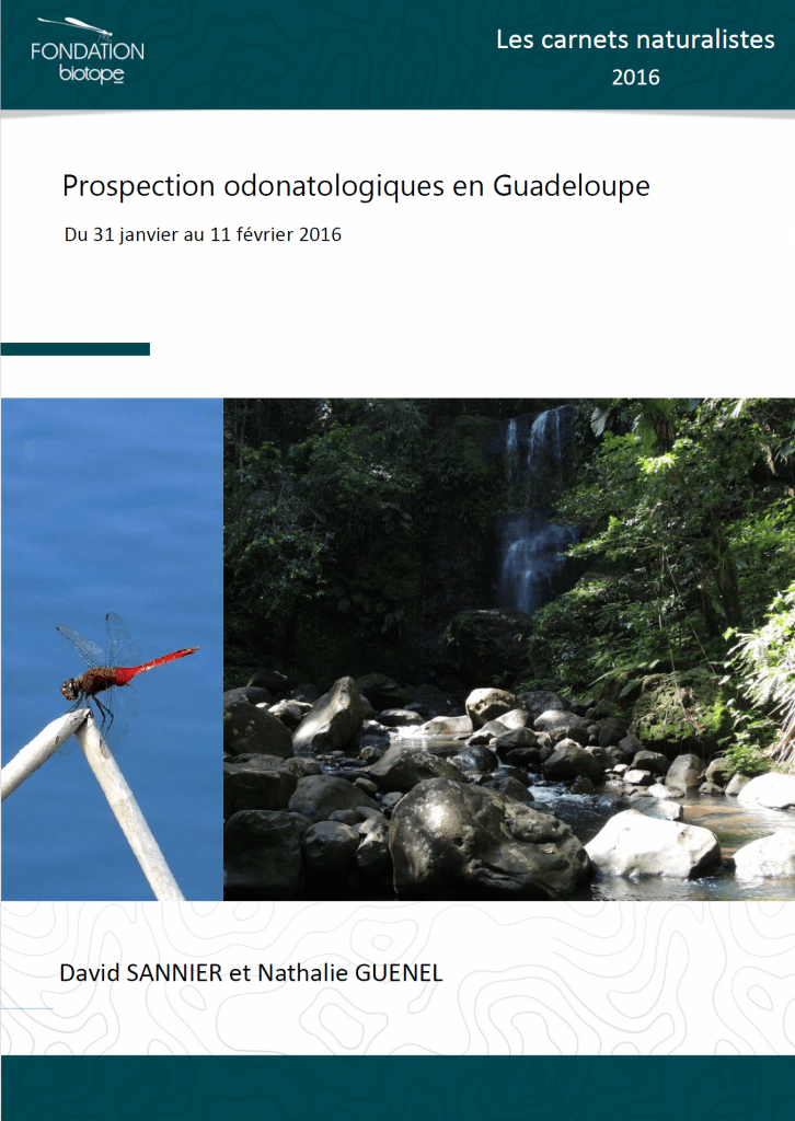 Prospection odonatologiques en Guadeloupe