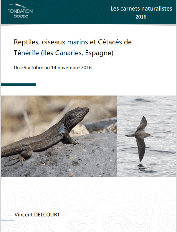 Reptiles_oiseauxmarins_cetaces_Tenerife