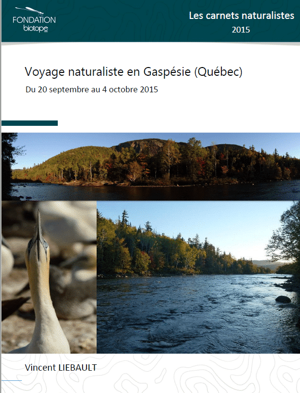 Voyage_Naturaliste_Gaspésie_Quebec