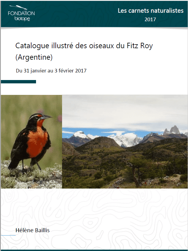 oiseaux_Fitz_Roy_Argentine