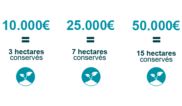visuel site web 600x350