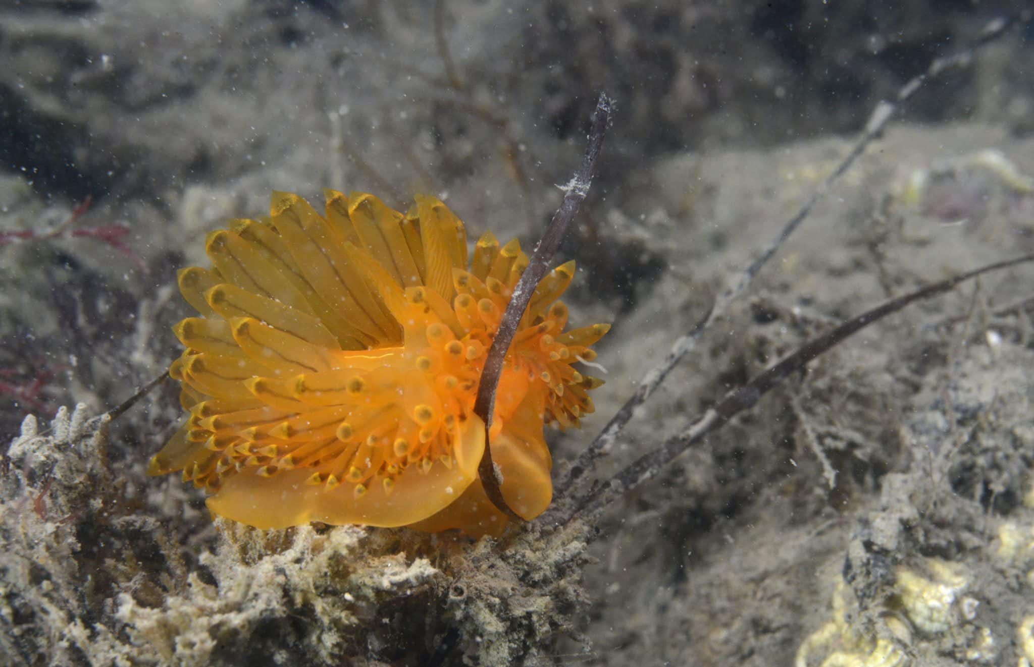 Biotope, nos valeurs