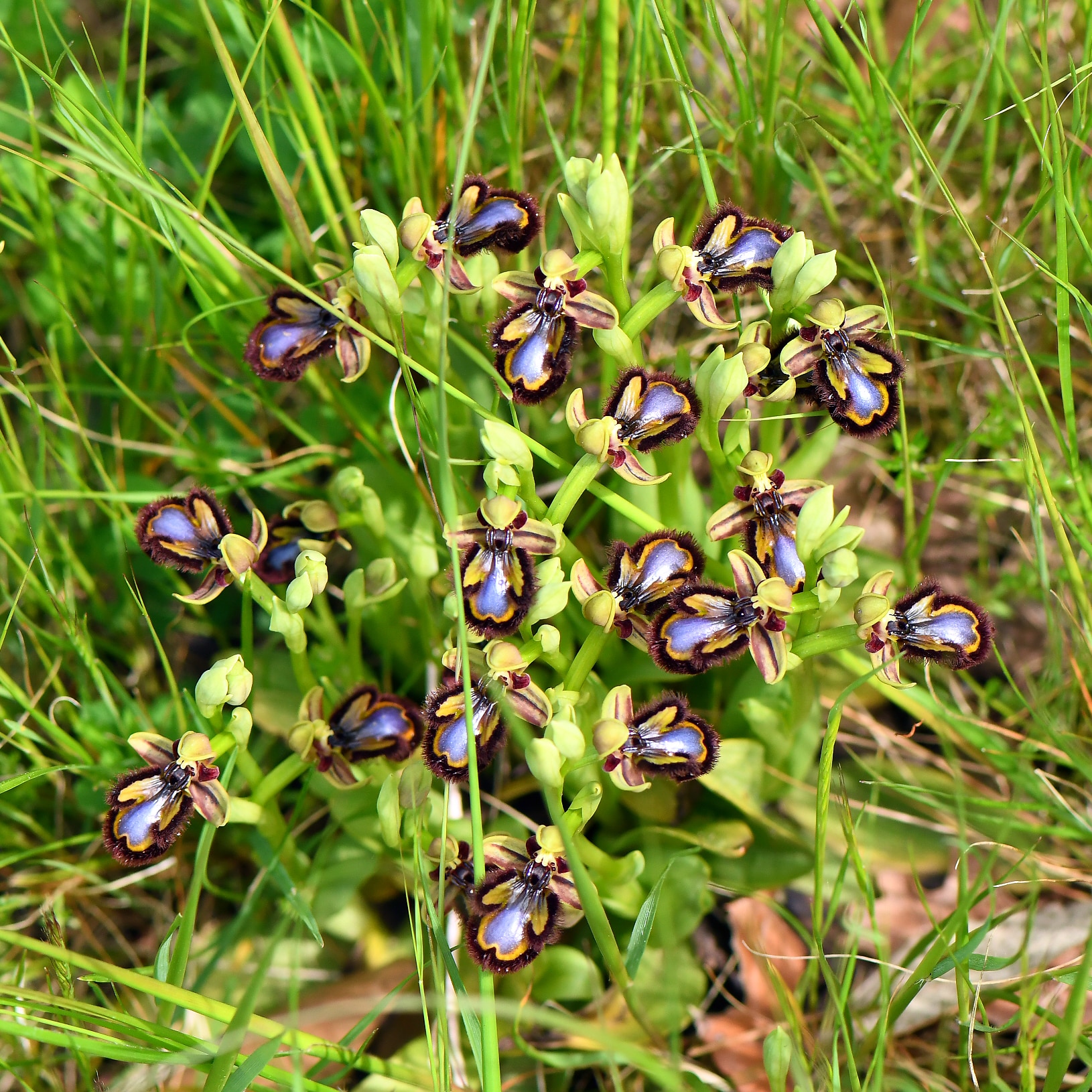 Biotope, nos valeurs