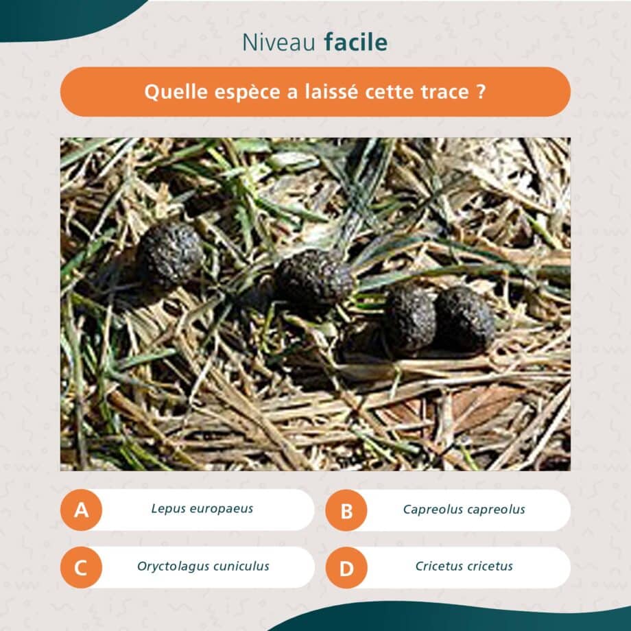 FAQ Concours Meilleur Naturaliste France Fondation Biotope — free download