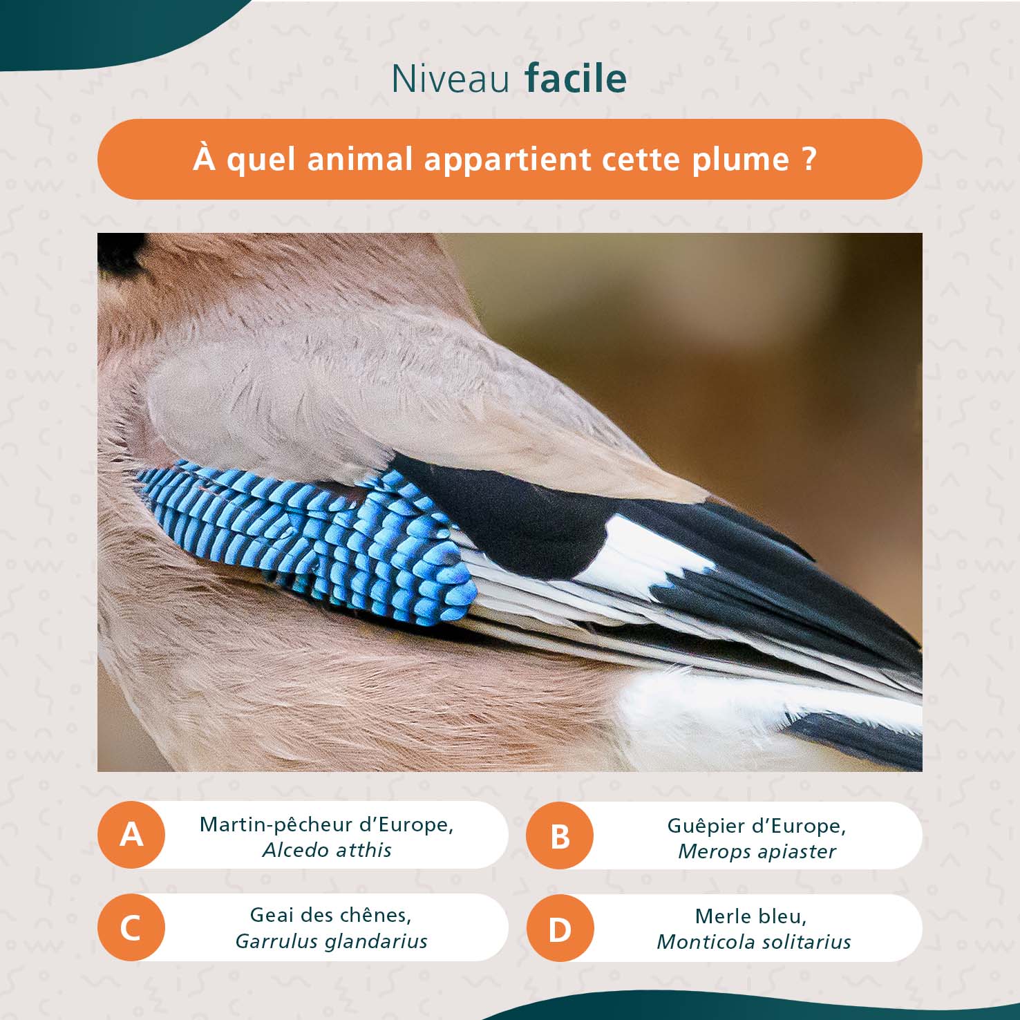 ornithologie_1