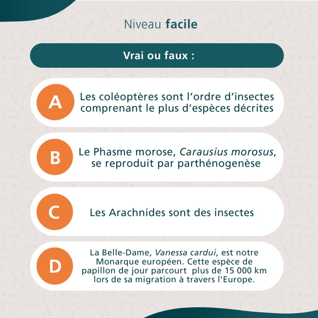 entomologie2
