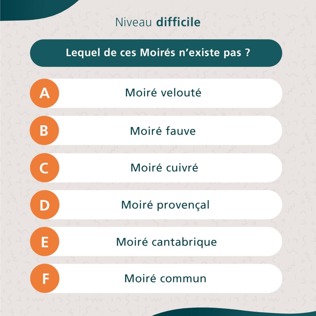 entomologie_4