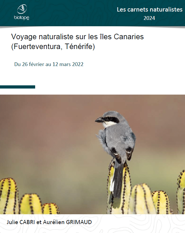 carnet naturalistes canaries