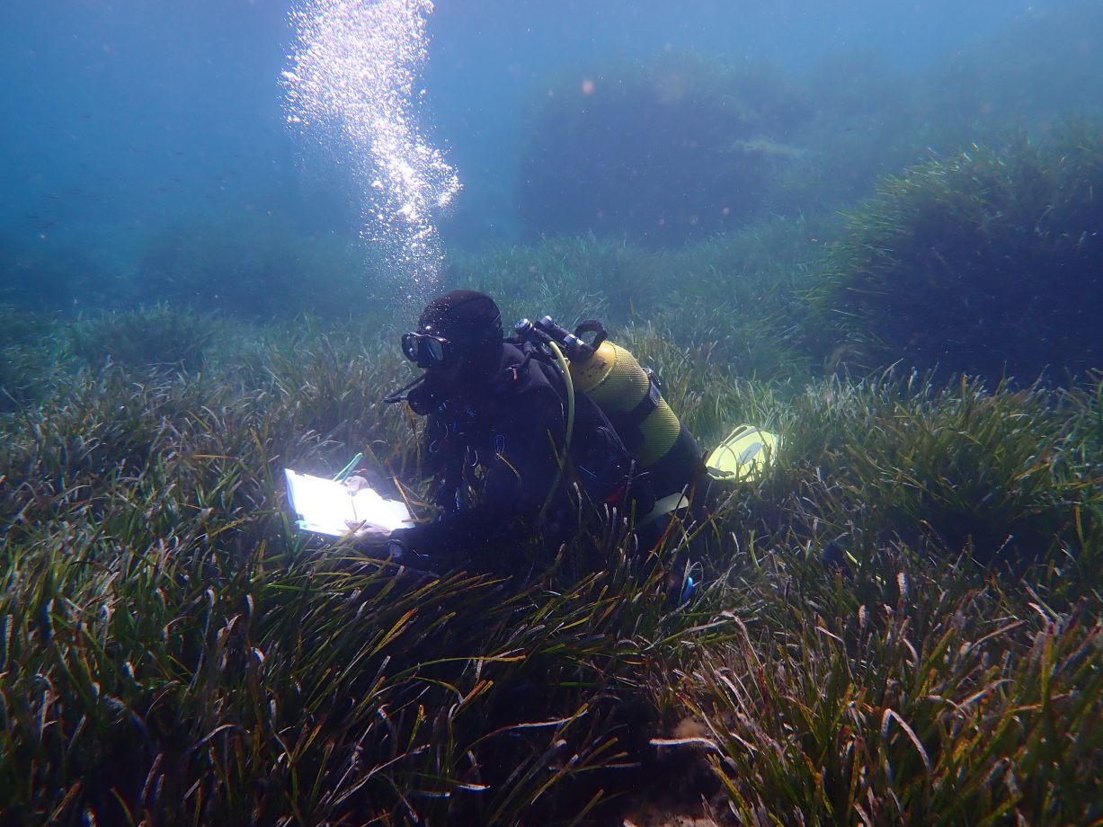 Biotope Mer & Littoral - Biotope, l'entreprise de l'écologie