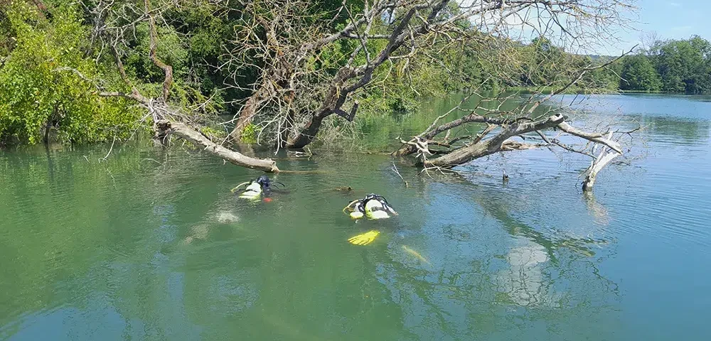 Suivi environnemental et recherche en milieu aquatique