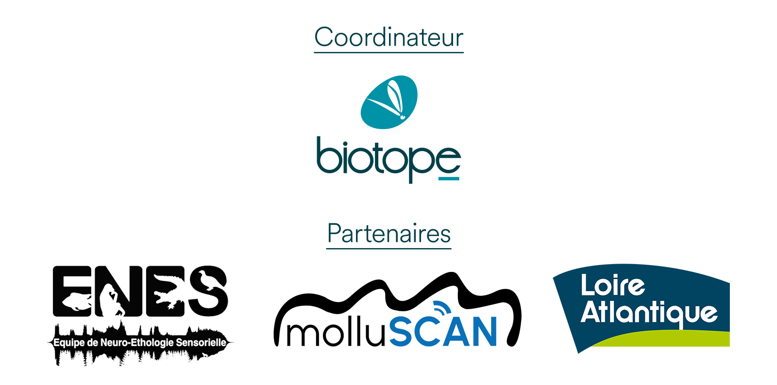 Logos des partenaires AQUOUSTIC - ENES, molluSCAN, Loire Atlantique