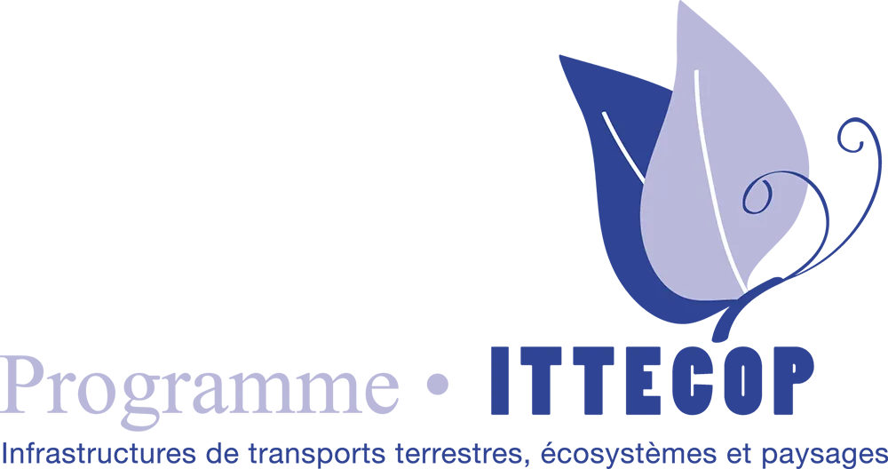 Logo Programme ITTECOP